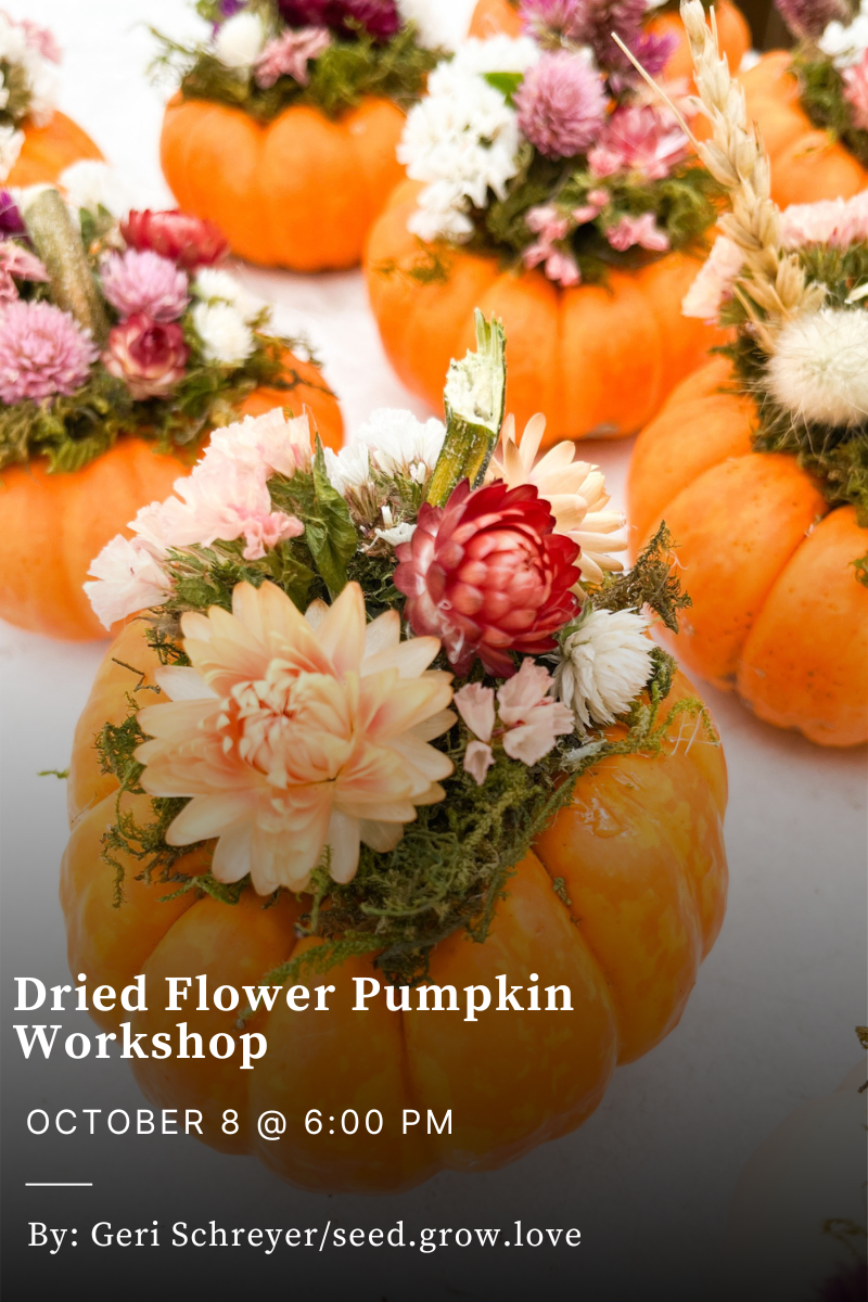 Dried Flower Pumpkin Workshop - October 8