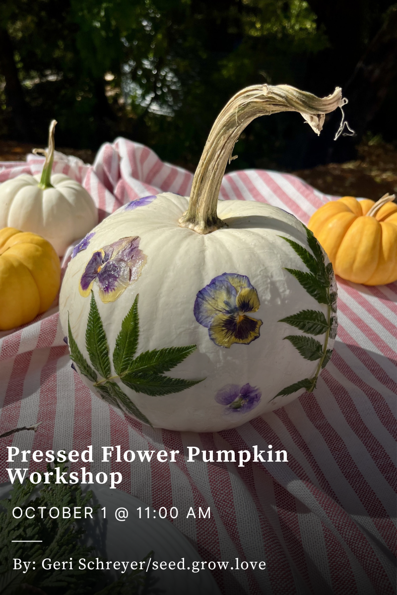 Pressed Flower Pumpkin Workshop - October 1