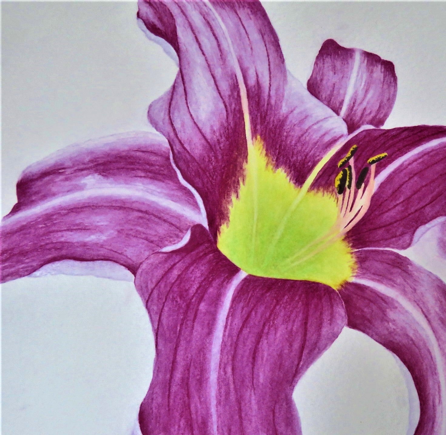 Watercolour Pencil Workshop - August 20