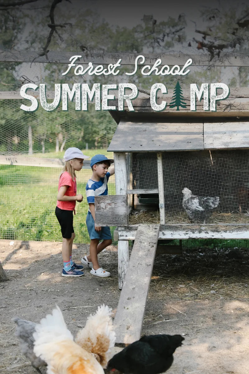 Forest School Summer Camp 2026