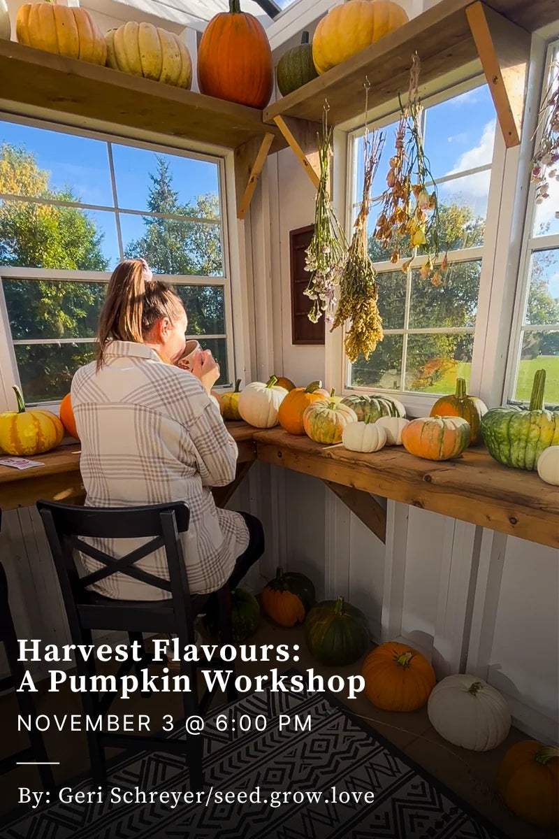 Harvest Flavours: A Pumpkin Workshop - November 3