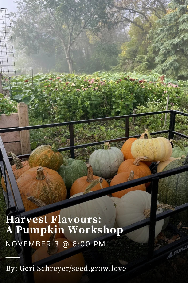 Harvest Flavours: A Pumpkin Workshop - November 3