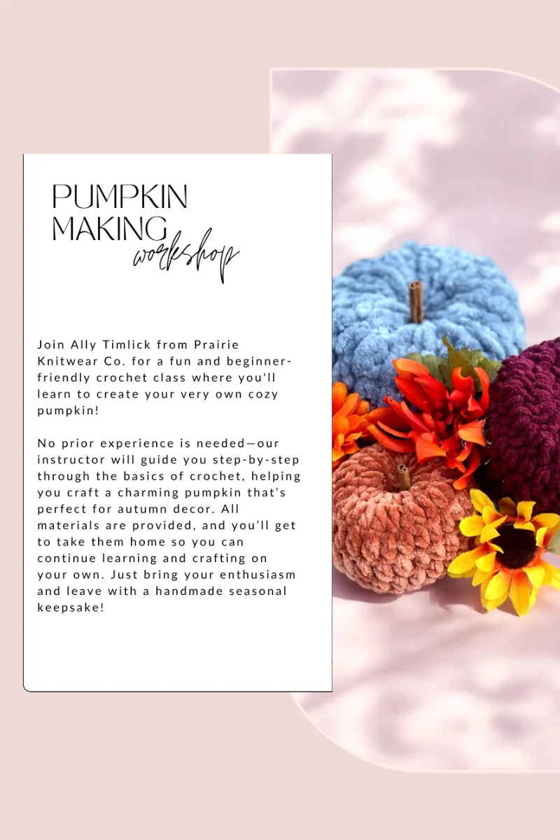 Crochet Pumpkin Workshop - October 16