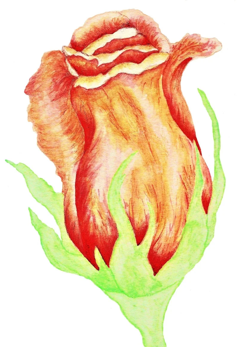 Watercolour Pencil Workshop - October 1