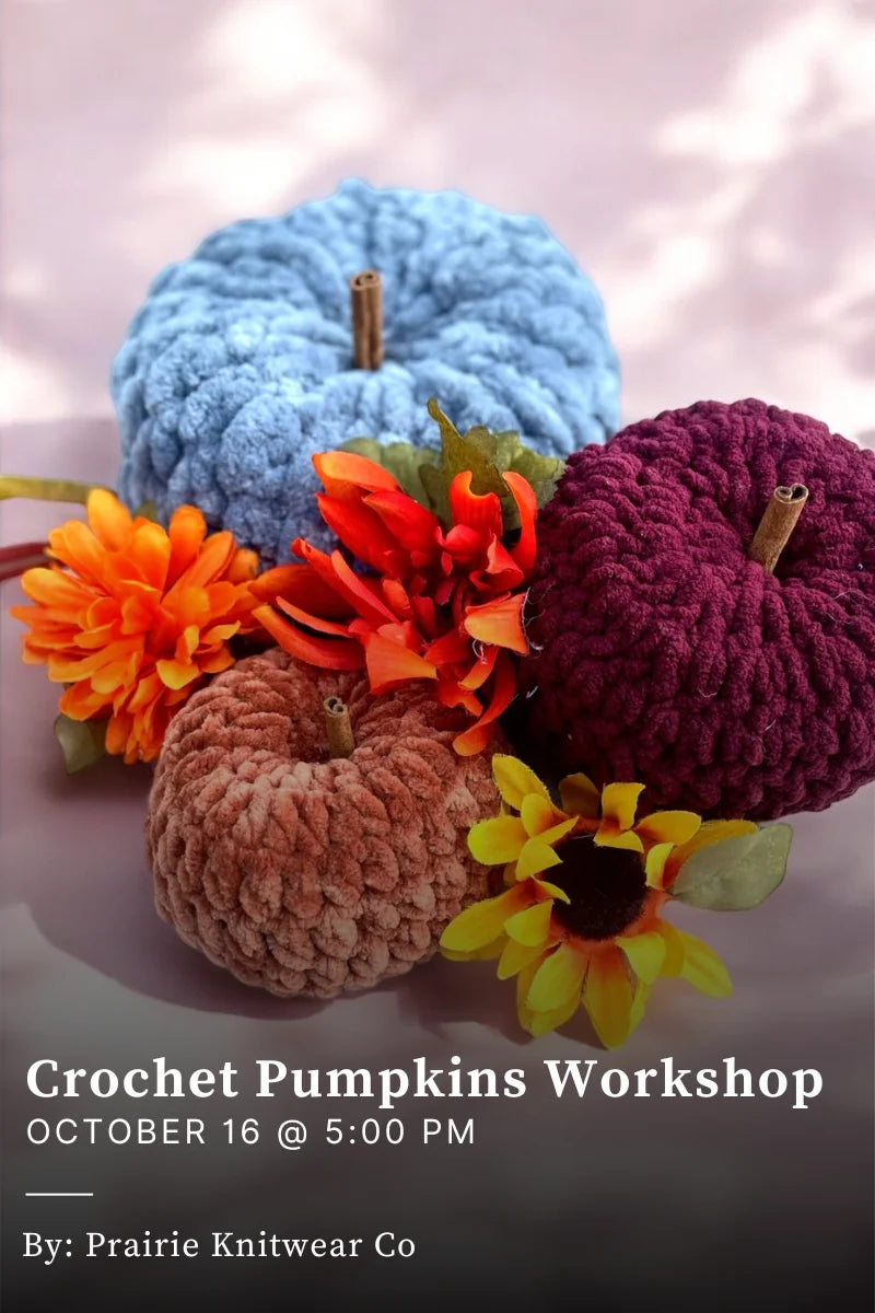 Crochet Pumpkin Workshop - October 16