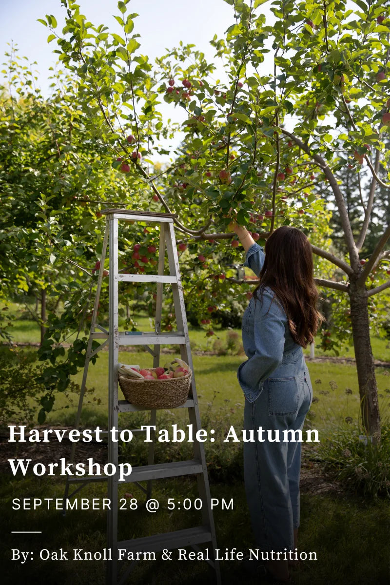 Harvest to Table: Autumn - September 28