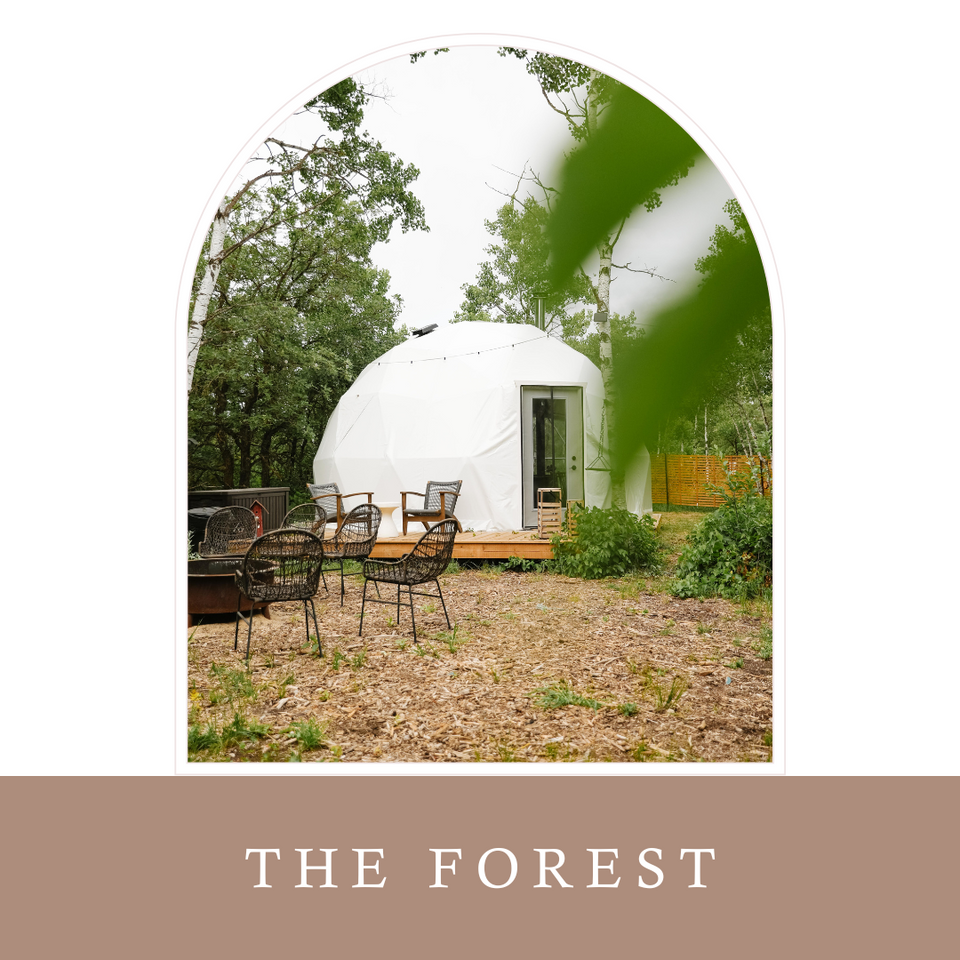 Explore– Pineridge Hollow